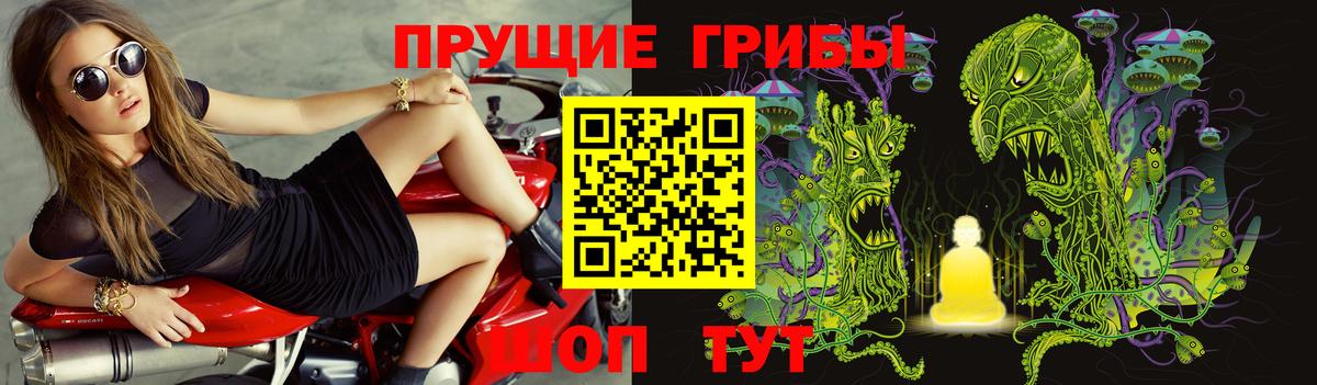 Псилоцибиновые грибы Psilocybine cubensis Ульяновск